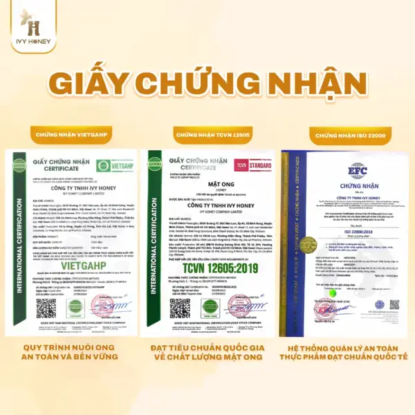 GIẤY CHỨNG NHẬN