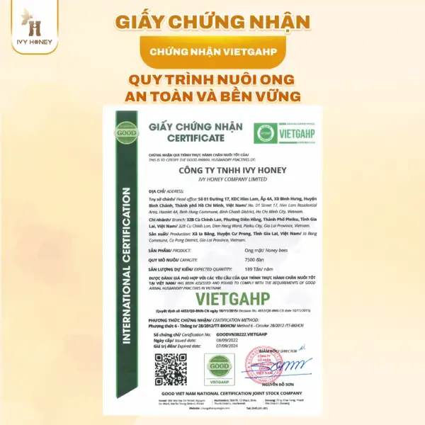 QUY TRÌNH NUÔI ONG AN TOÀN VÀ BỀN VỮNG