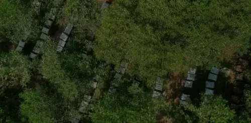 Slide Image 2