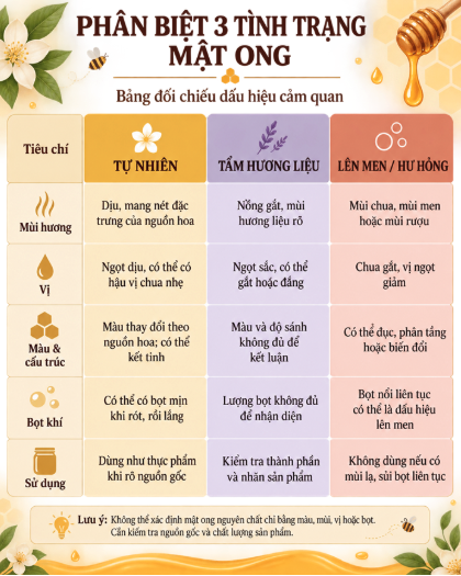 Infographic bảng đối chiếu phân biệt 3 tình trạng mật ong tự nhiên mật tẩm hương liệu và mật ong hư lên men
